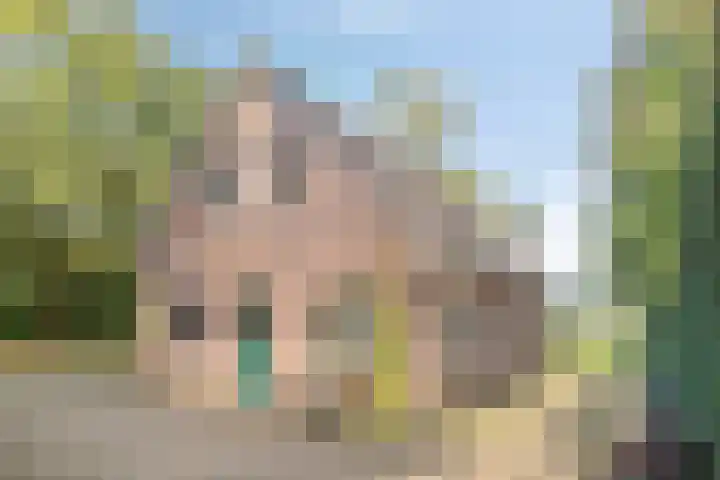 Eikenkamp 6 Hattemerbroek thumbnail 41