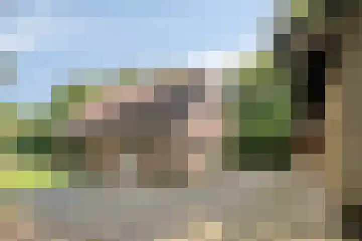 Eikenkamp 6 Hattemerbroek thumbnail 42