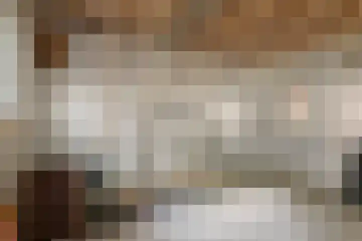 Eikenkamp 6 Hattemerbroek thumbnail 47