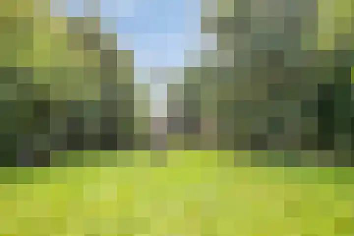 Eikenkamp 6 Hattemerbroek thumbnail 50