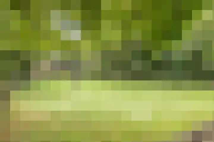 Eikenkamp 6 Hattemerbroek thumbnail 51