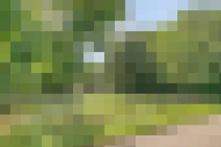 Eikenkamp 6 Hattemerbroek thumbnail 52