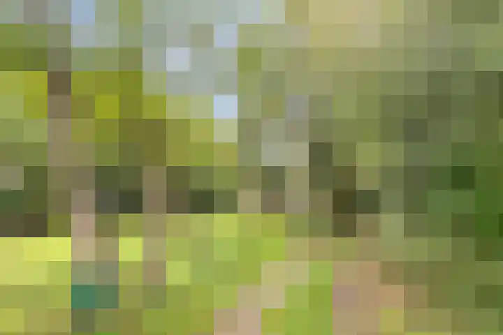 Eikenkamp 6 Hattemerbroek thumbnail 53