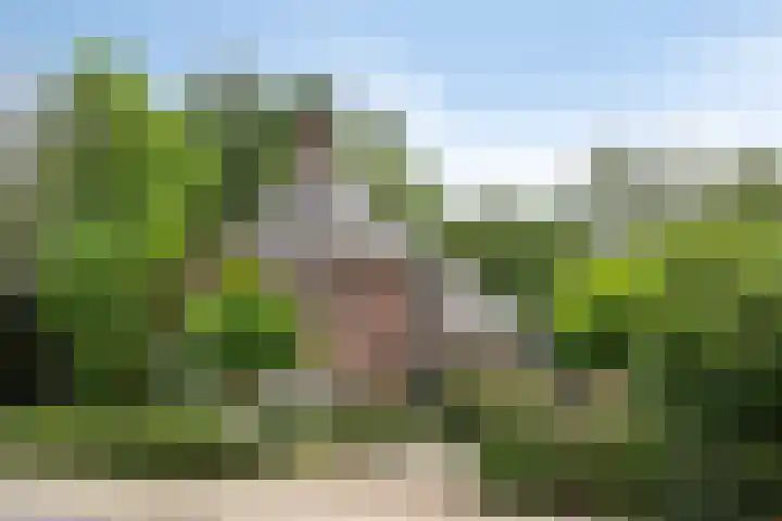 Eikenlaan 1 Koewacht