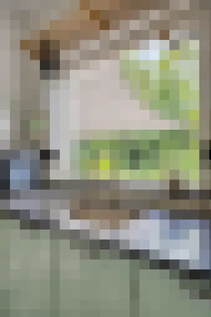 Eikenlaan 1 Koewacht thumbnail 16