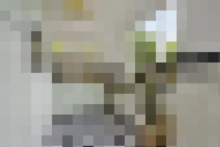 Eikenlaan 1 Koewacht thumbnail 18