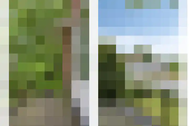 Eikenlaan 1 Koewacht thumbnail 30