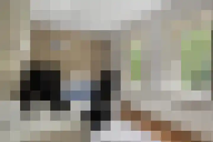 Eikenlaan 1 Koewacht thumbnail 31