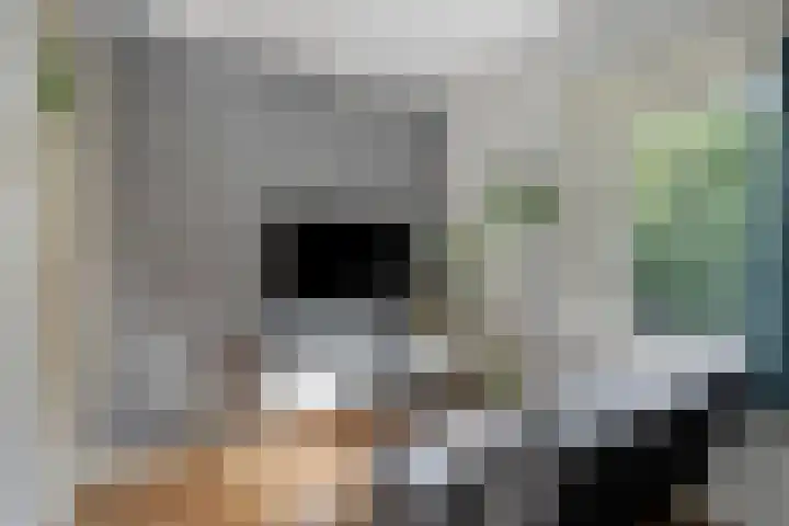 Eikenlaan 1 Koewacht thumbnail 36