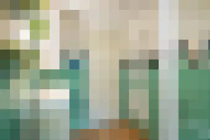 Eikenlaan 1 Koewacht thumbnail 38