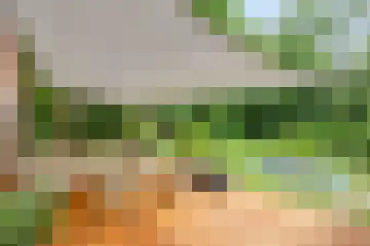Eikenlaan 1 Koewacht thumbnail 42