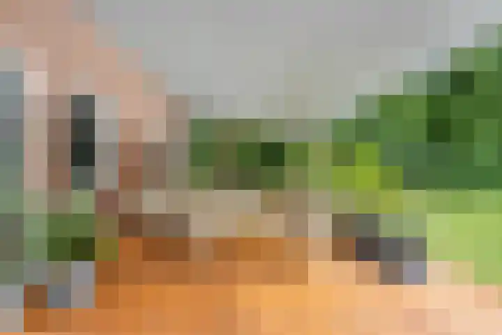 Eikenlaan 1 Koewacht thumbnail 44