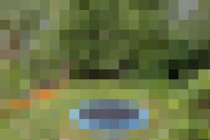 Eikenlaan 1 Koewacht thumbnail 46