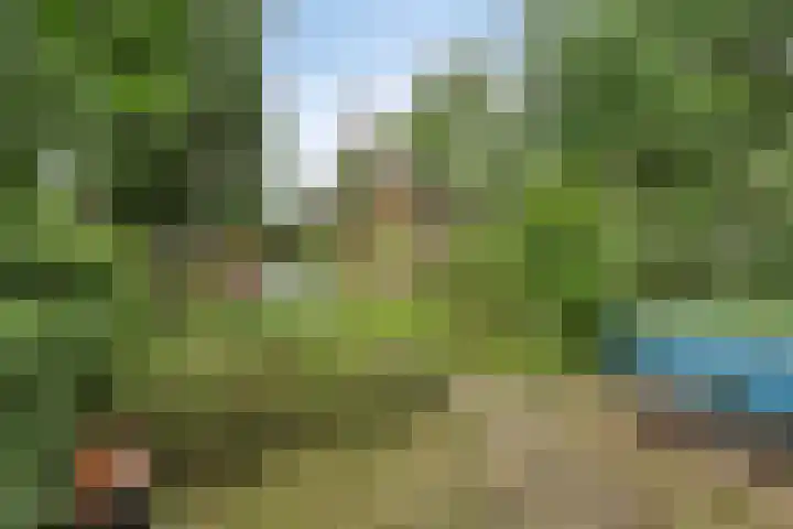 Eikenlaan 1 Koewacht thumbnail 48