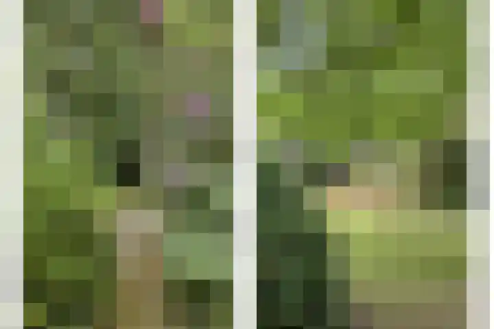 Eikenlaan 1 Koewacht thumbnail 49