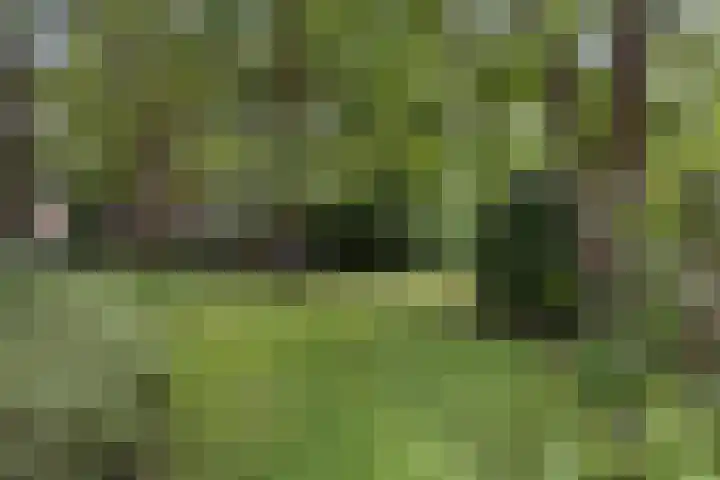 Eikenlaan 1 Koewacht thumbnail 52
