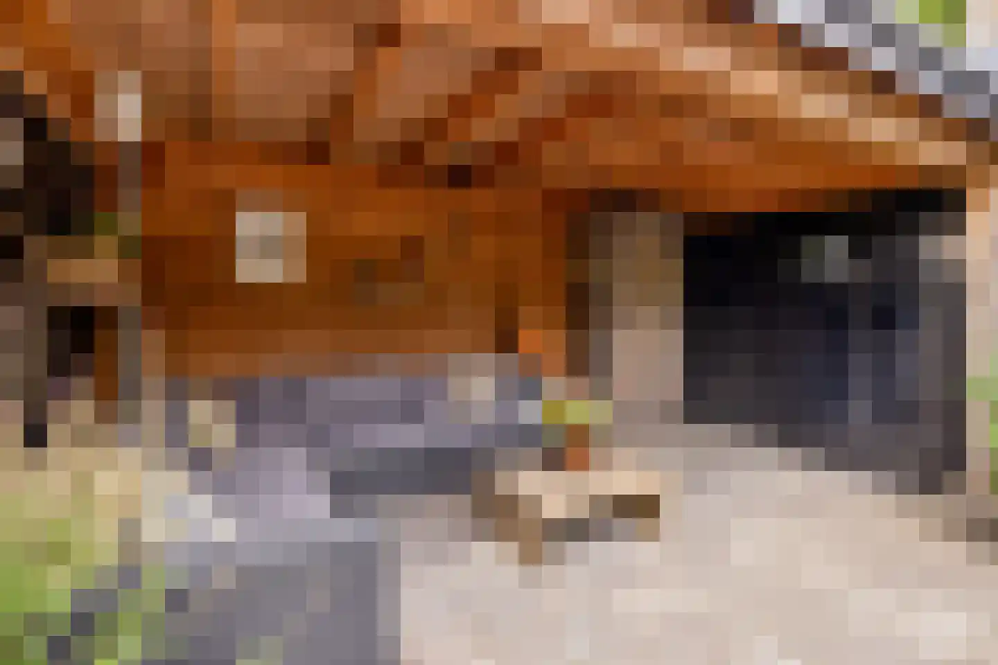 Eikenlaan 1 Middenmeer thumbnail 33