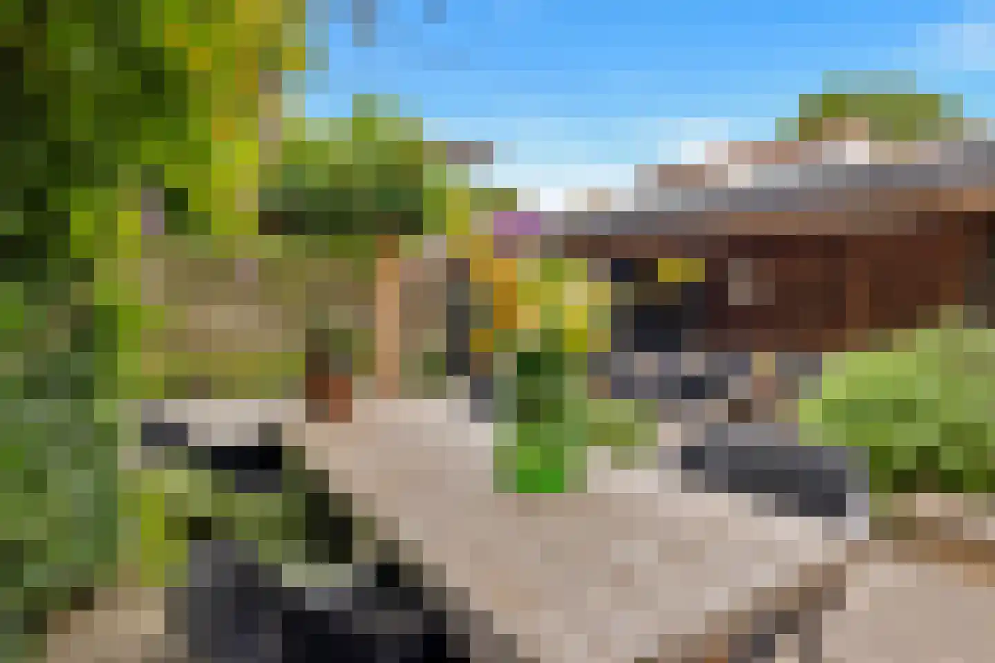 Eikenlaan 1 Middenmeer thumbnail 34