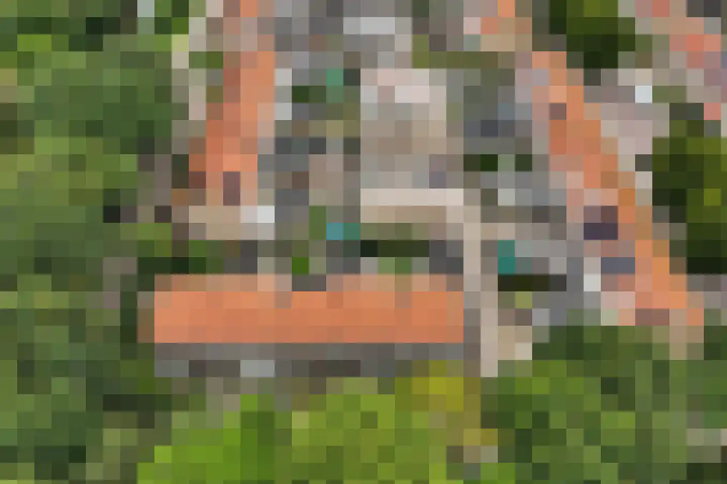 Eikenlaan 1 Middenmeer thumbnail 37