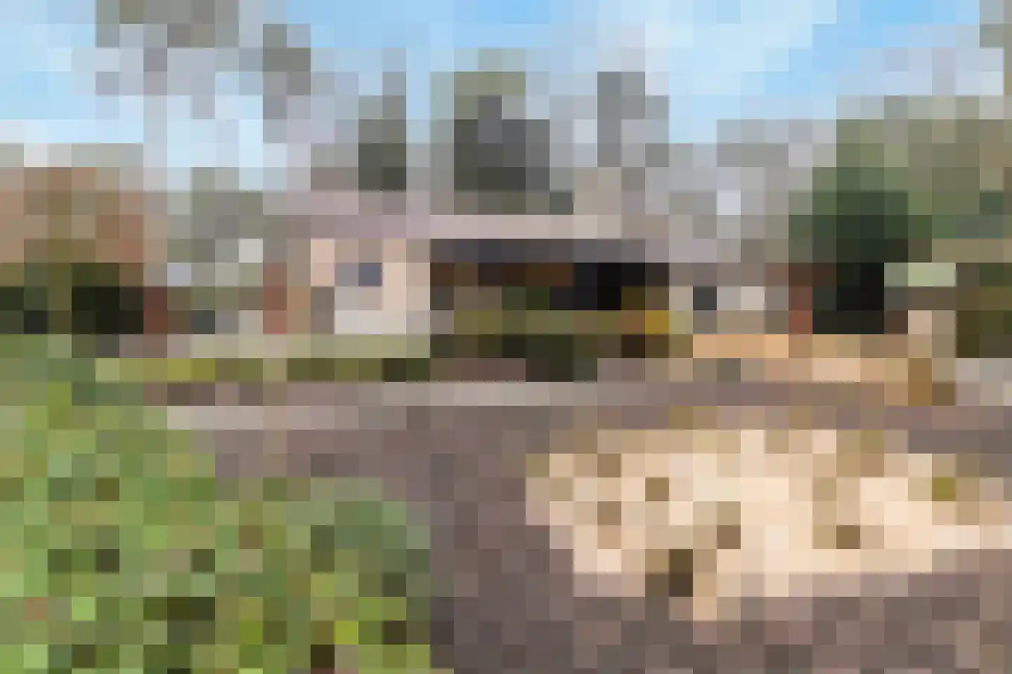 Eikenlaan 1 Velden thumbnail 14