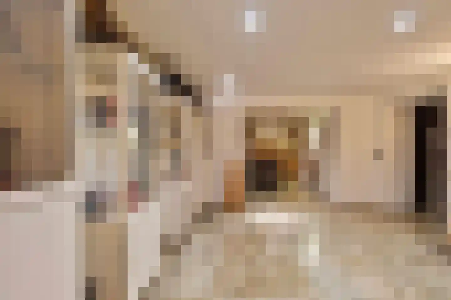 Eikenlaan 1 Velden thumbnail 32