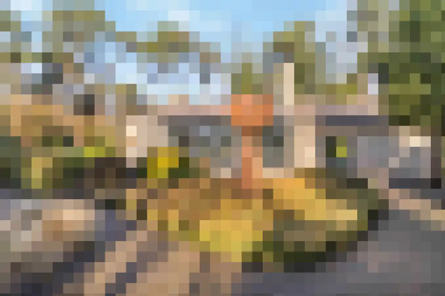 Eikenlaan 1 Velden thumbnail 34