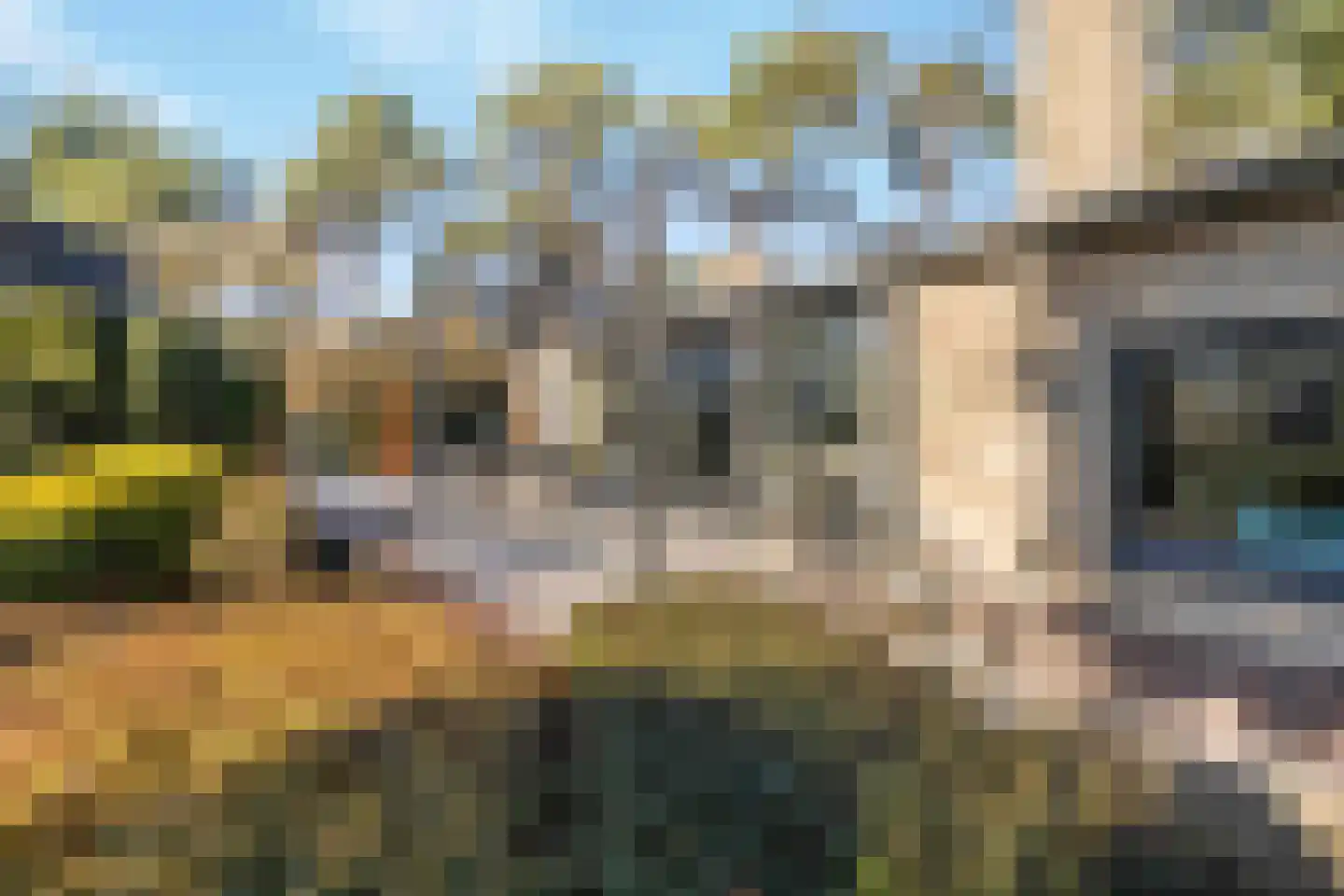 Eikenlaan 1 Velden thumbnail 35