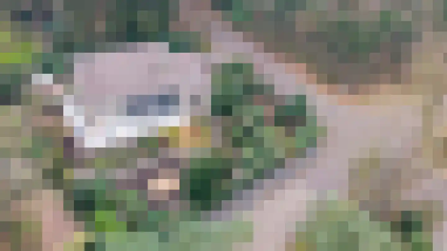 Eikenlaan 1 Velden thumbnail 36
