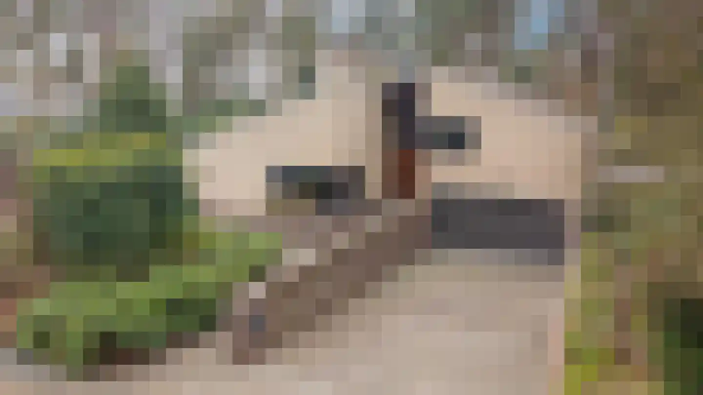 Eikenlaan 1 Velden thumbnail 37