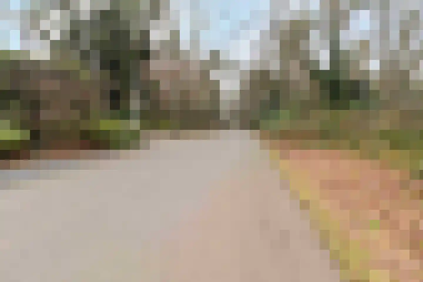 Eikenlaan 1 Velden thumbnail 38