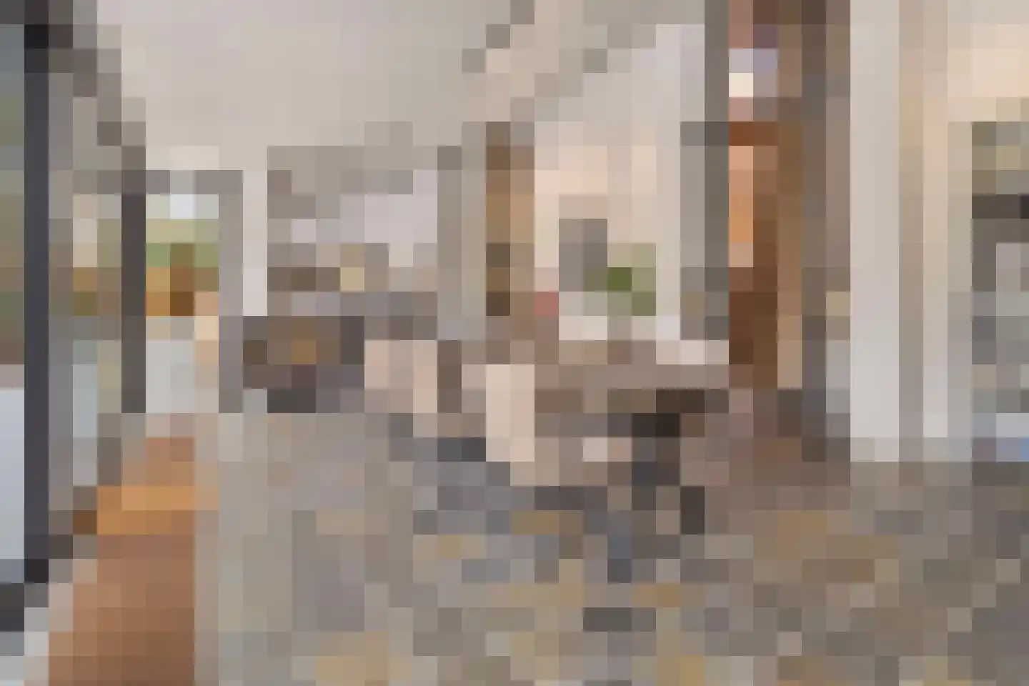 Eikenlaan 1 Velden thumbnail 6