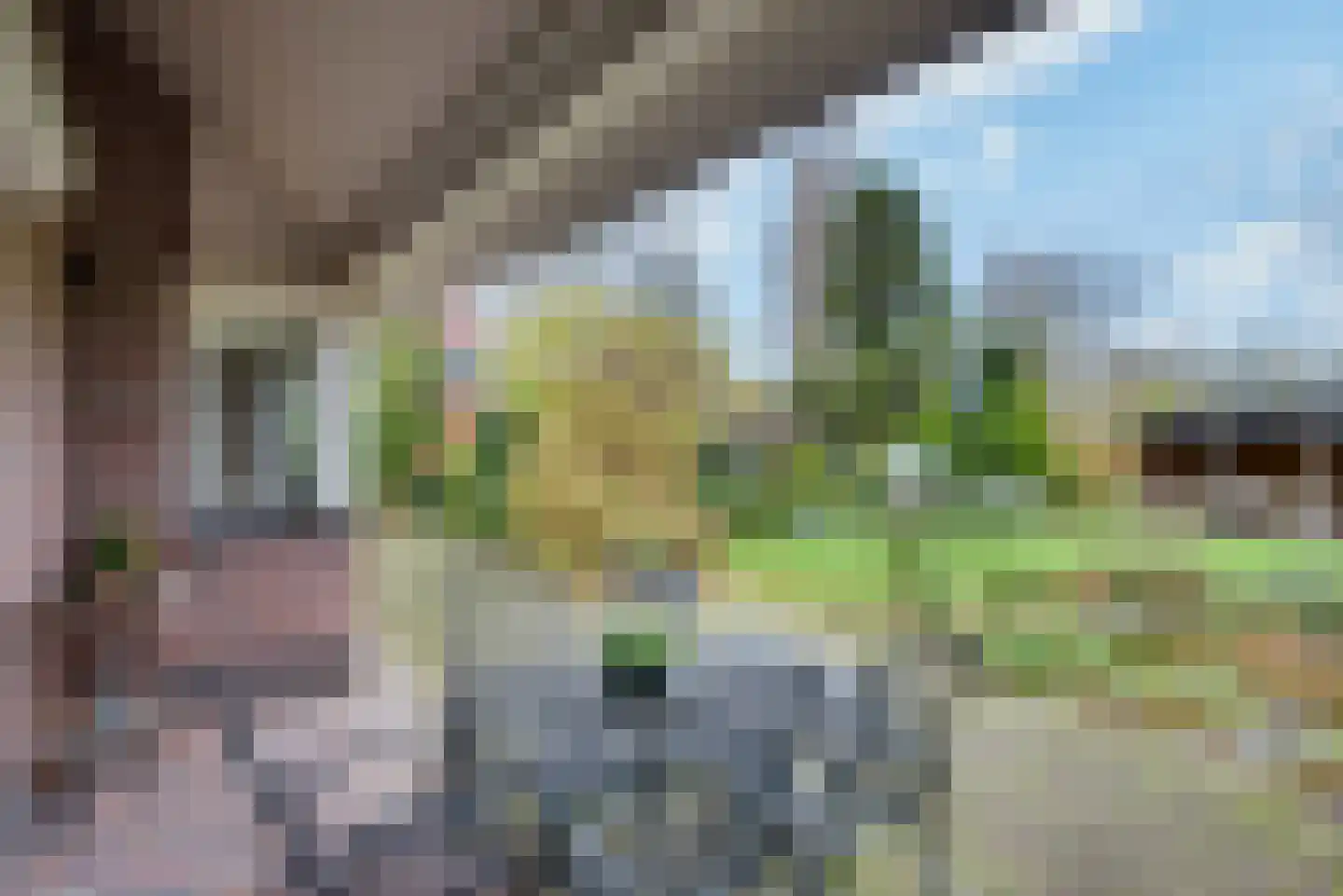 Eikenlaan 1 Woudrichem thumbnail 11