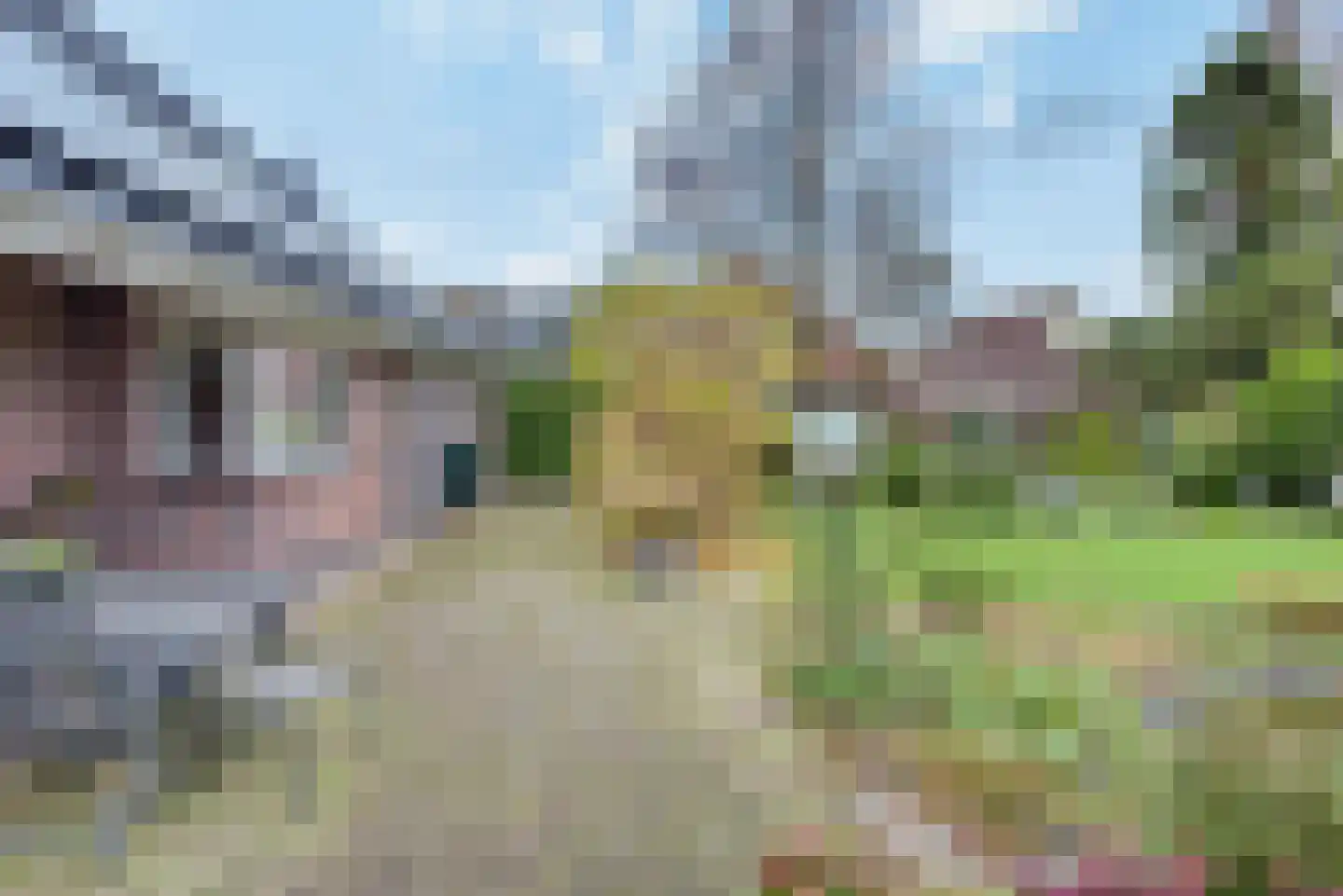 Eikenlaan 1 Woudrichem thumbnail 12