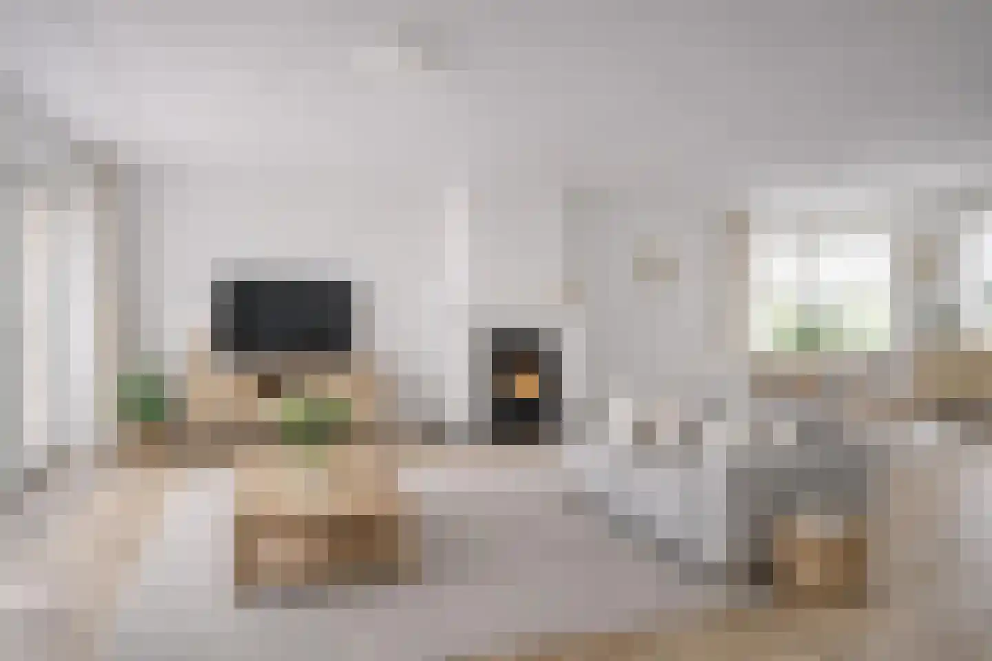 Eikenlaan 1 Woudrichem thumbnail 21