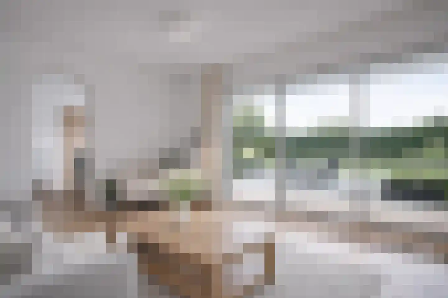 Eikenlaan 1 Woudrichem thumbnail 23