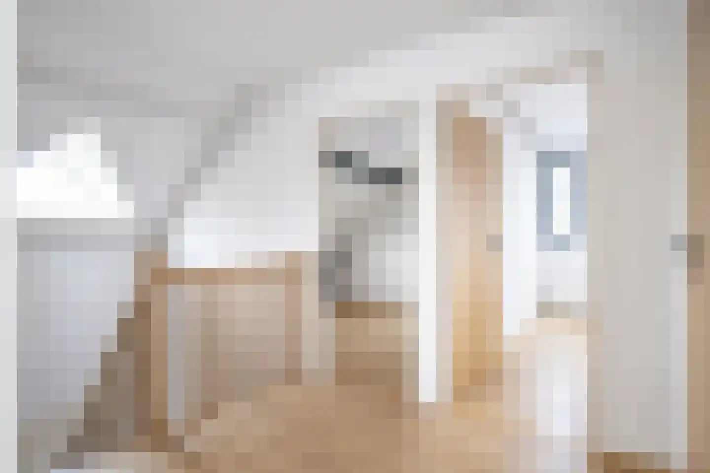 Eikenlaan 1 Woudrichem thumbnail 42
