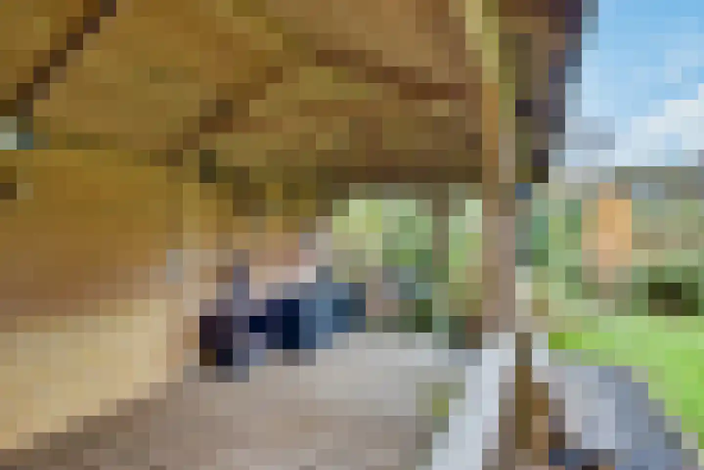 Eikenlaan 1 Woudrichem thumbnail 56