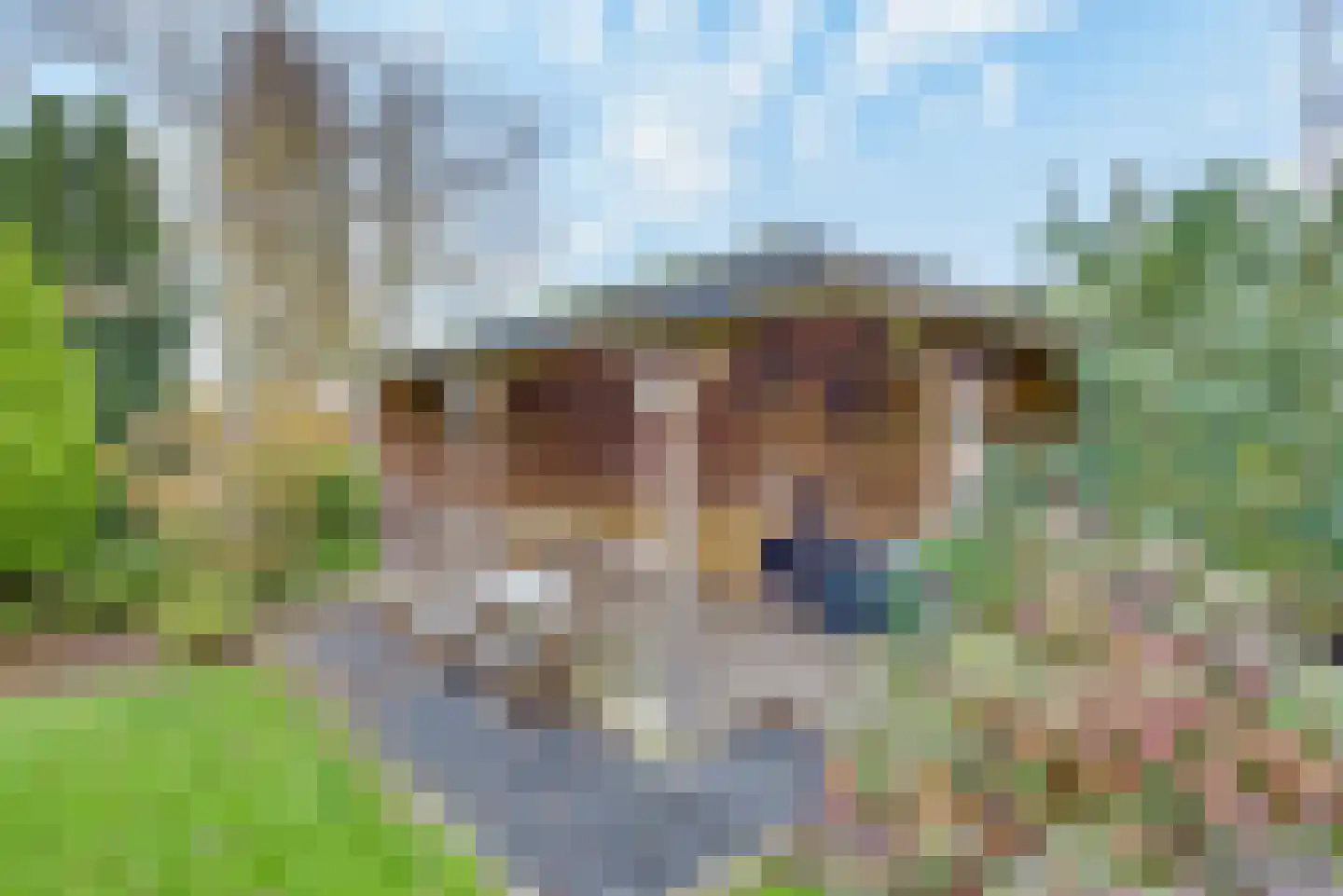 Eikenlaan 1 Woudrichem thumbnail 57