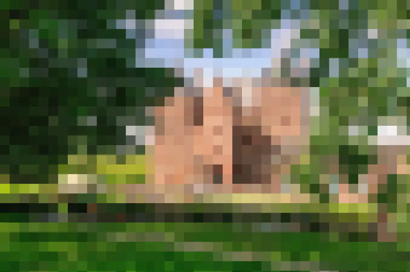 Eikenlaan 1 Woudrichem thumbnail 65