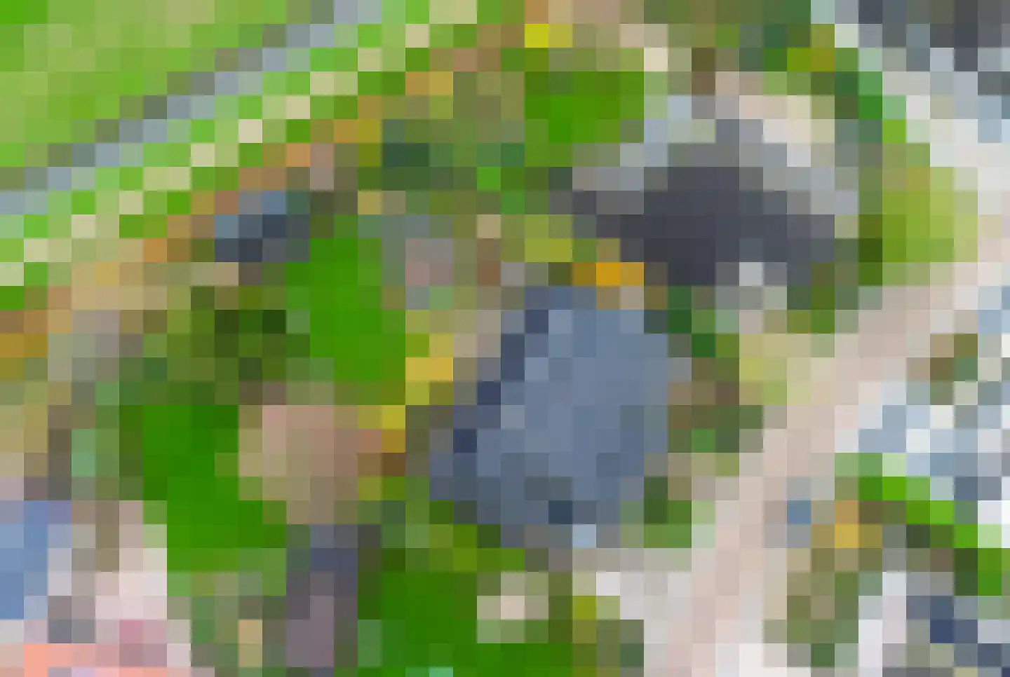 Eikenlaan 1 Woudrichem thumbnail 8
