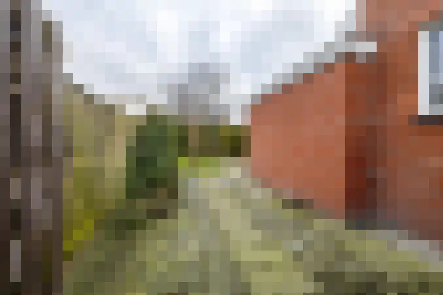 Eikenlaan 1 Zuidbroek thumbnail 39