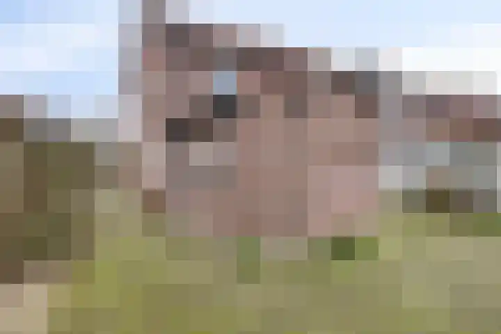 Eikenlaan 10 Leende thumbnail 30