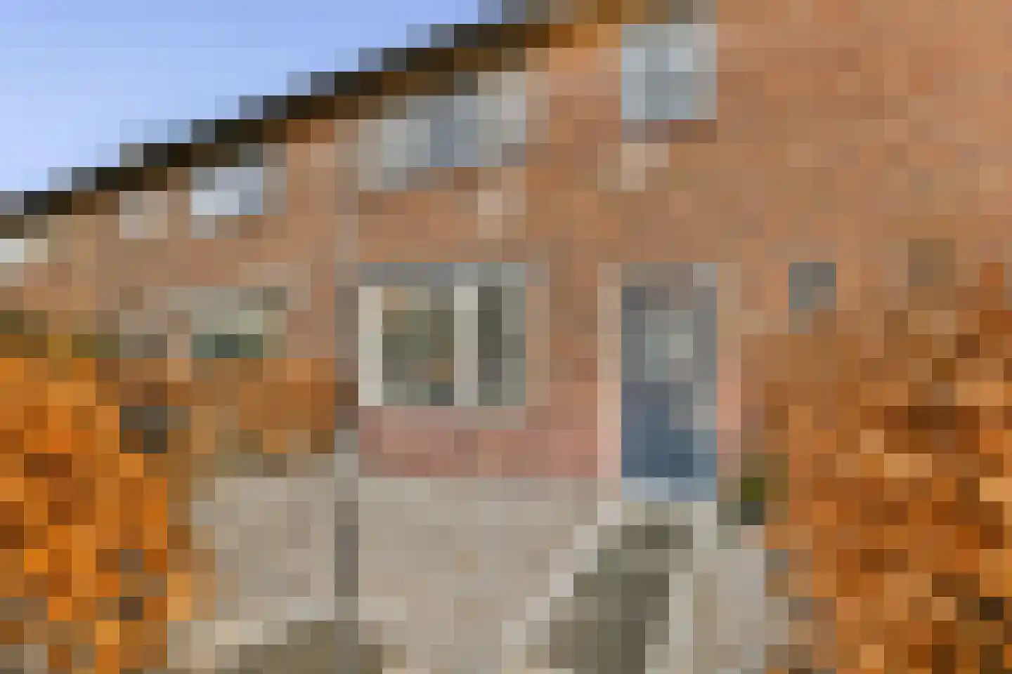 Eikenlaan 10 Loosdrecht thumbnail 4