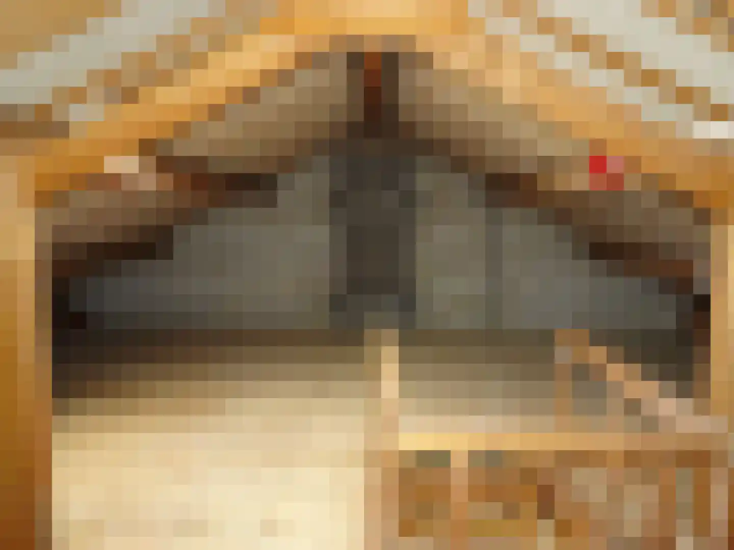 Eikenlaan 10 Middenmeer thumbnail 22