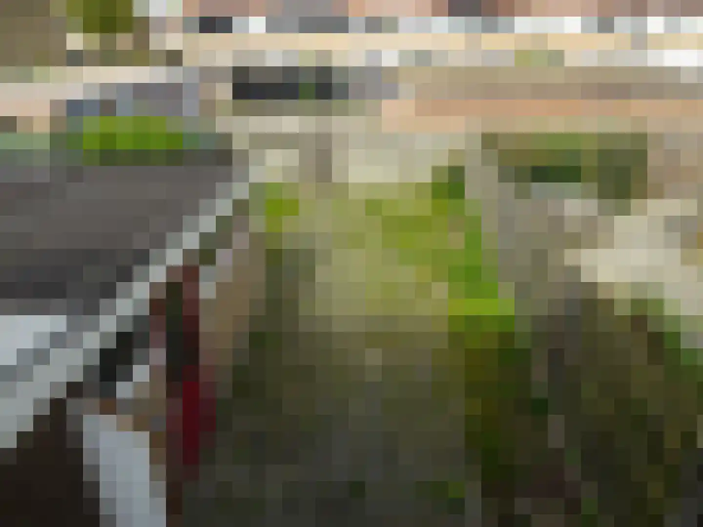 Eikenlaan 10 Middenmeer thumbnail 5