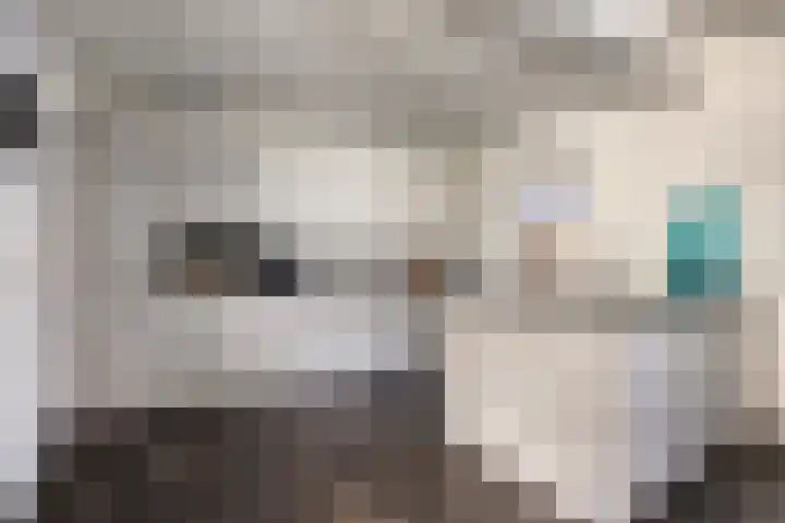 Eikenlaan 10 Vlodrop thumbnail 17
