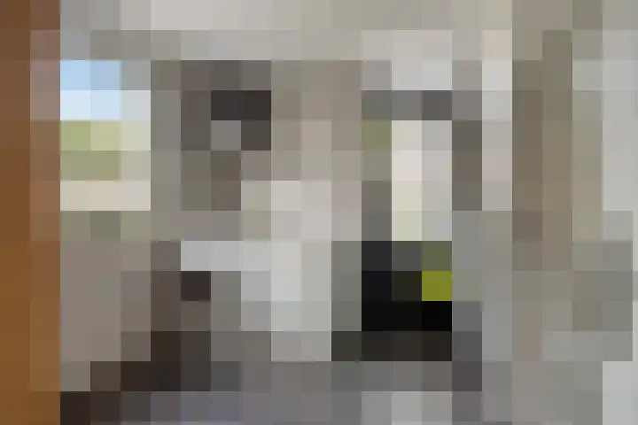 Eikenlaan 10 Vlodrop thumbnail 22
