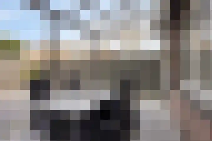 Eikenlaan 10 Vlodrop thumbnail 36