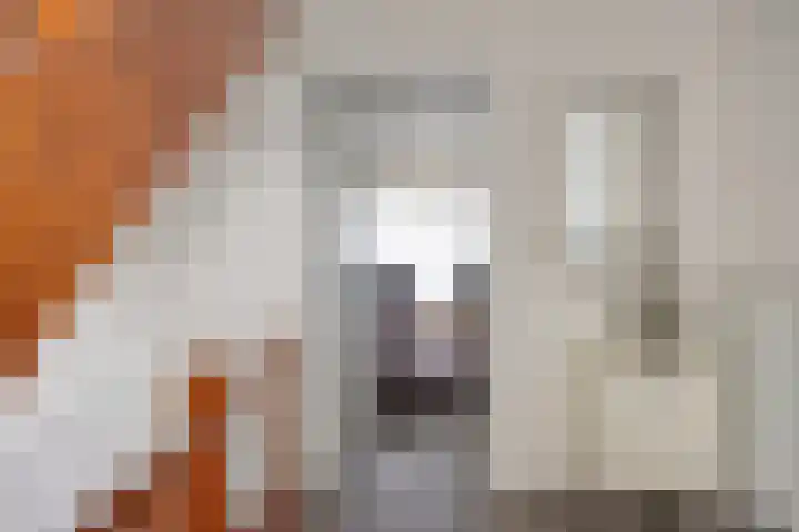 Eikenlaan 10 Vlodrop thumbnail 5