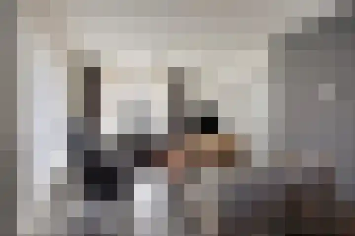 Eikenlaan 10 Vlodrop thumbnail 9